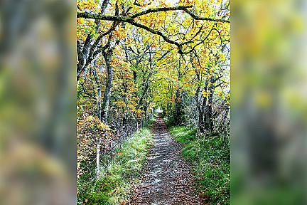 Actualit&eacute; : Sur les pas des Templiers � Sauvagnas : un circuit de 11,3 km au coeur du Pays de Serres