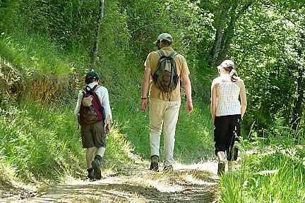 Actualit&eacute; : L'�glise Saint-Pierre et ses sentiers bois�s : pourquoi cette petite boucle de 2h vaut le d�tour