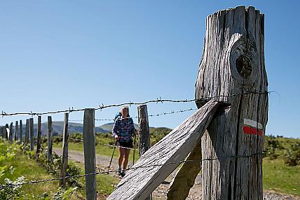 De Esterençuby au col de Bagargiak