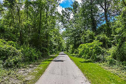 Actualit&eacute; : Uzos - Découvrez la boucle de la Glandée, une randonnée facile en Béarn