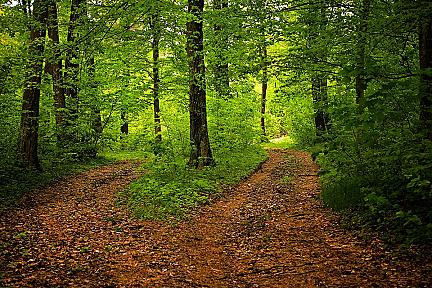 Actualit&eacute; : Circuit de randonnée : la Vallée de la Tardes