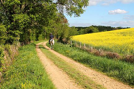 Actualité : Le Bois de Derrière : itinéraire balisé et trace GPS gratuite