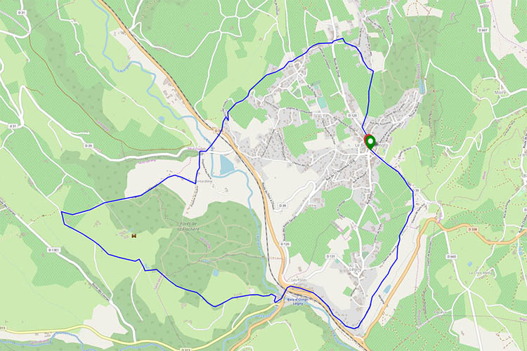 La forêt de La Flachère