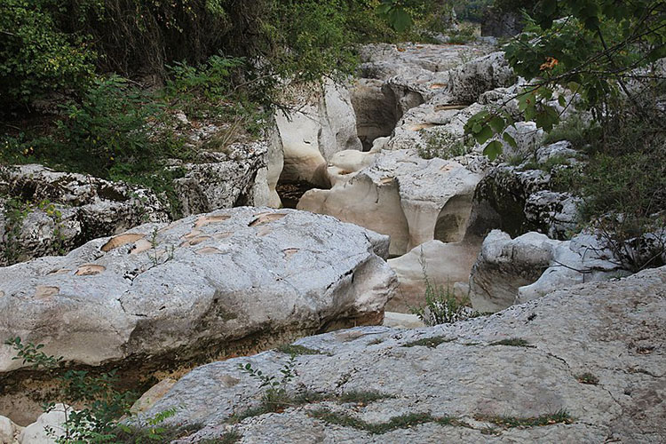 Randonne du Pied du Grand Colombier