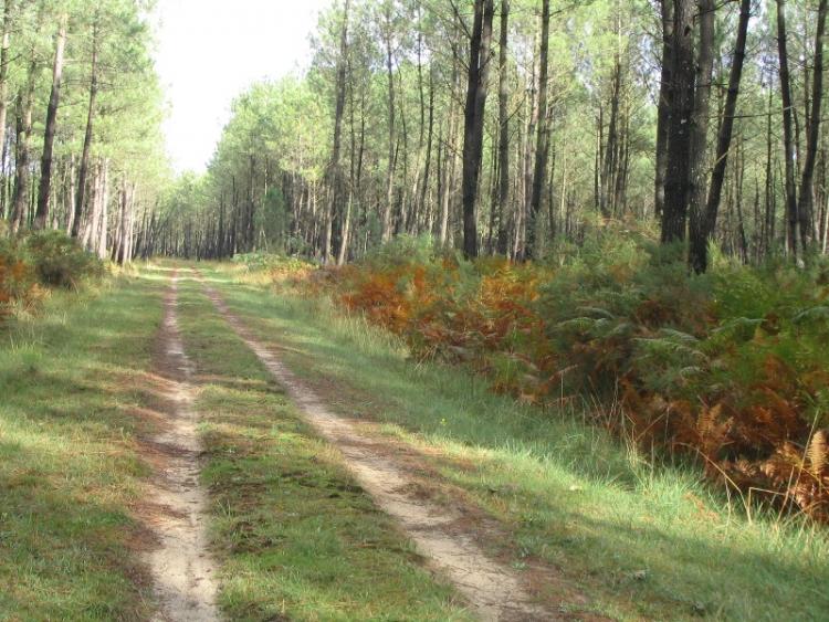 A Azur, circuit sur les traces de l'ancienne voie ferrée