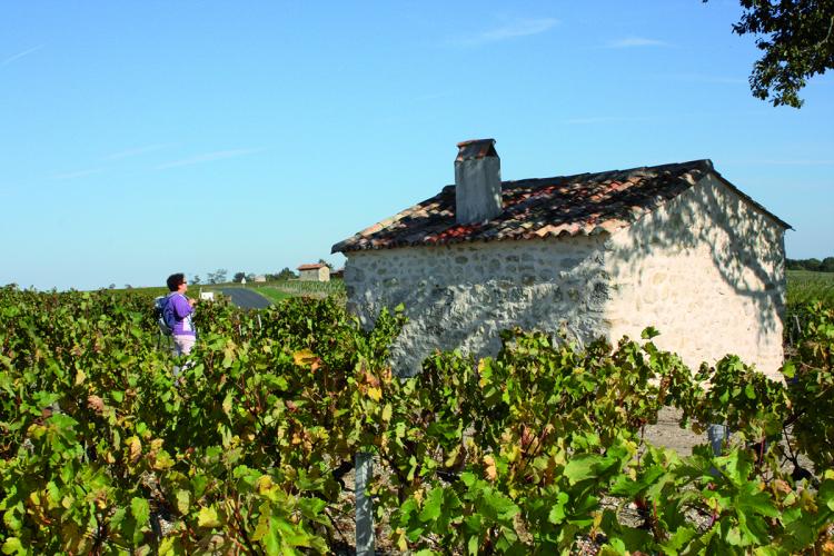 Circuit des Cabanes de Vigne