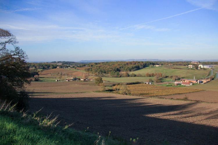 Espiens, dans les coteaux, vers le château de Salles