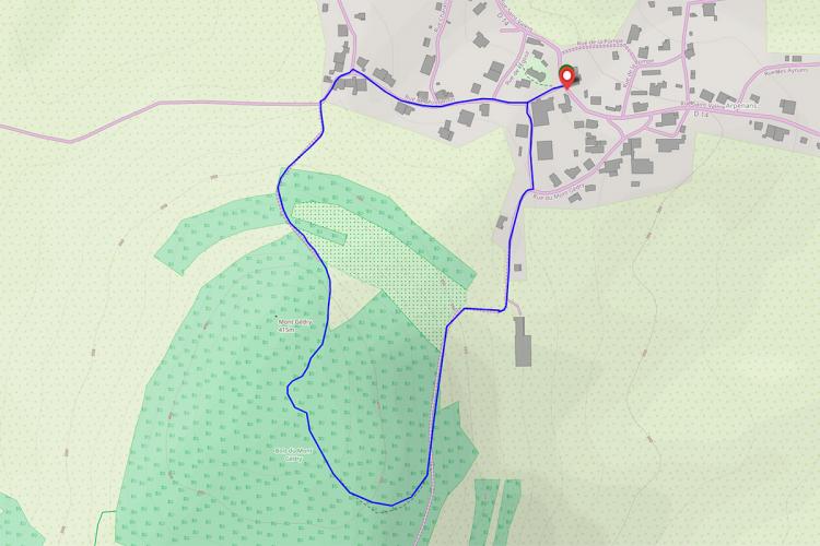 Trace gps Circuit pédestre du bois de Mont Gédry Circuit pédestre du bois de Mont Gédry