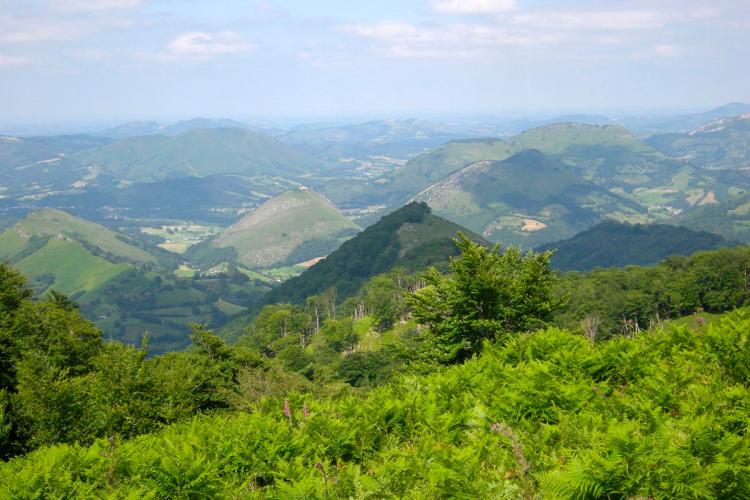 Erretzü