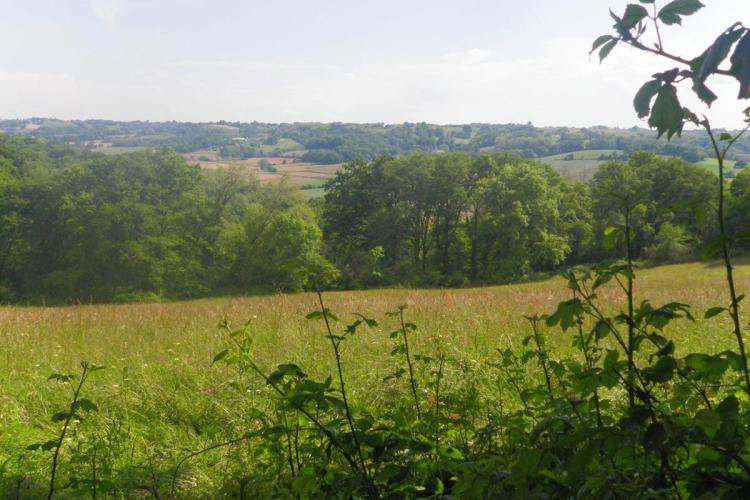Louvigny : promenade Henri IV