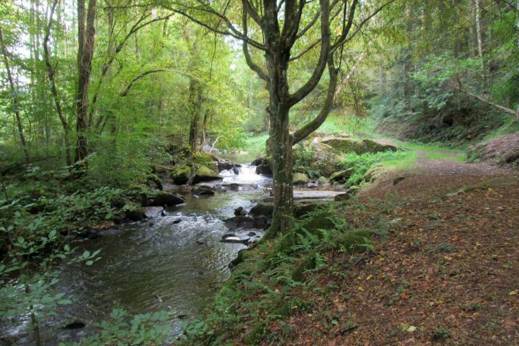 Circuit Pédestre n°M2 : La Chapelle des Rorgues