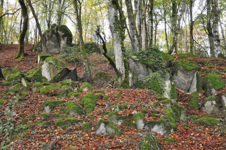 Circuit de randonnée  : Le tour du Jarissou