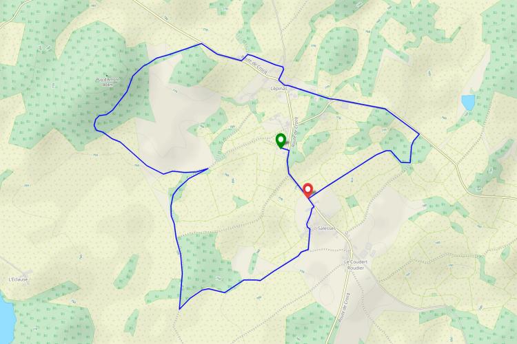 Chemin du Bois d'Amont