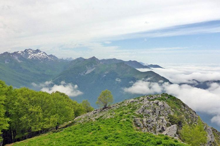 Le Belvédère du Monbula