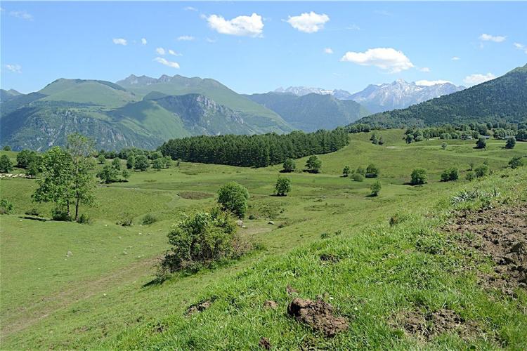 Le Turon de Técouère