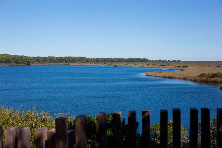 Le sentier de la Réserve Naturelle de l'étang de Cousseau