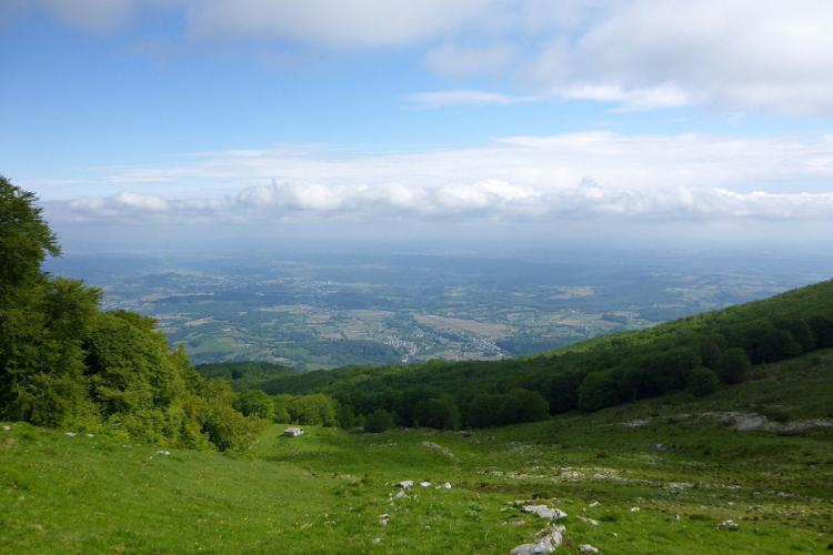 Le Plateau de l'Isarce