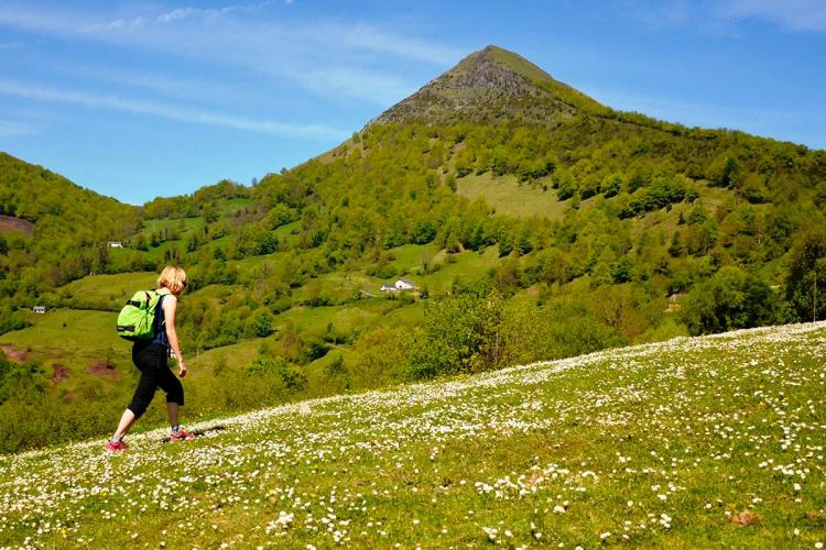 N°2 Chemin de Bosdapous