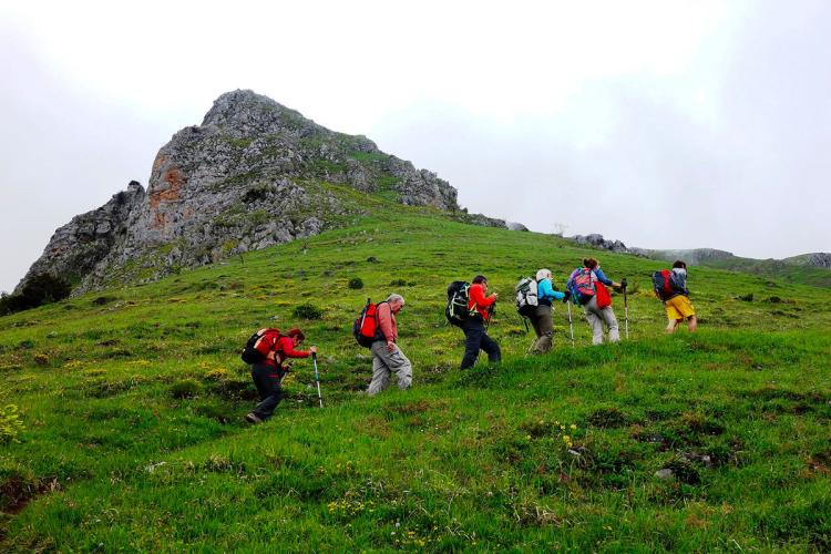 N°17 Plateau d'Ourdinse