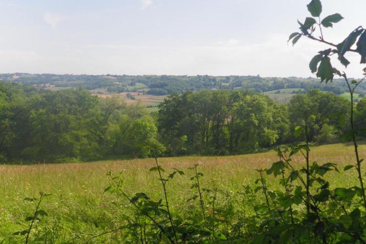 Argelos : vallon du Basta