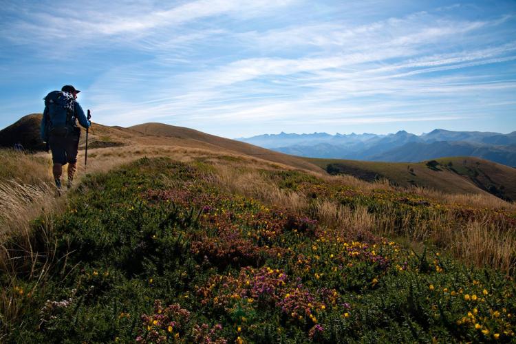 Trace gps Du Col de Bagargiak à Logibar Du Col de Bagargiak à Logibar