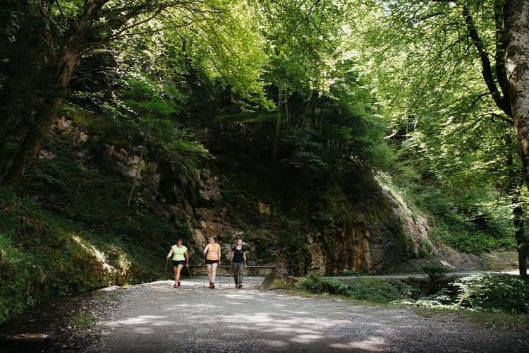 Trace gps Parcours initiation Eaux-Bonnes Parcours initiation Eaux-Bonnes