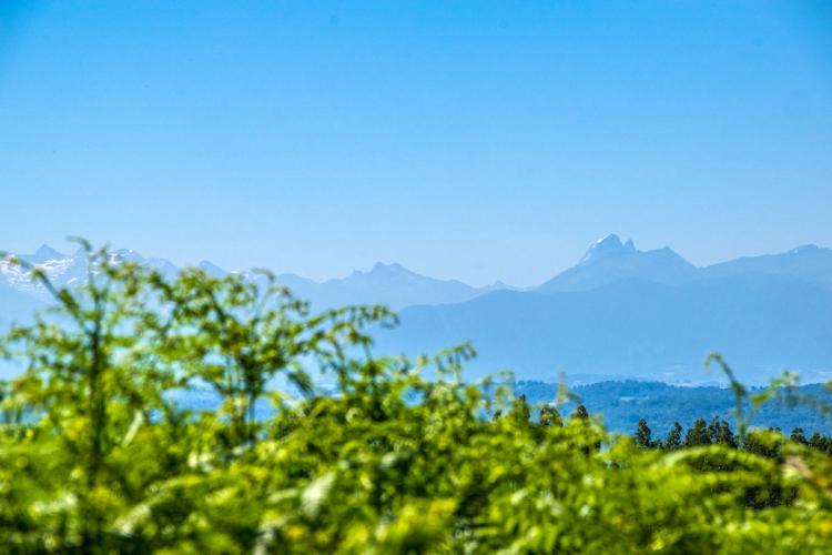 Trace gps Denguin - Boucle du Trou du Loup Denguin - Boucle du Trou du Loup