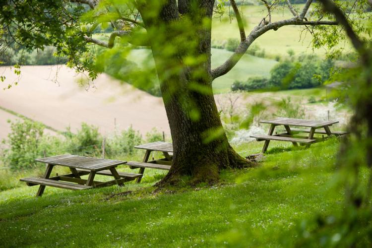 Morlanne : les Palombi&egrave;res