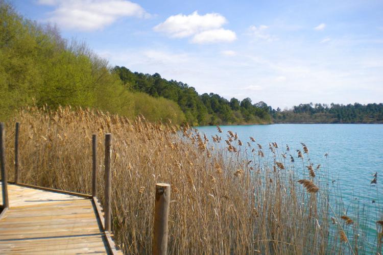 Trace gps A Arjuzanx, circuit du tour du lac A Arjuzanx, circuit du tour du lac