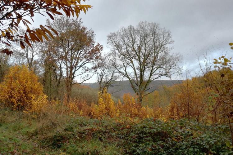 Boucle du Cingle n&deg;6 / Le Bugue