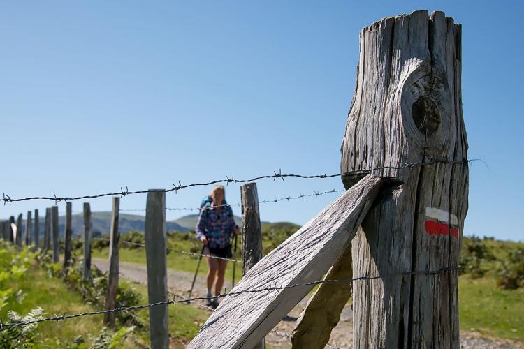De Esteren&ccedil;uby au col de Bagargiak