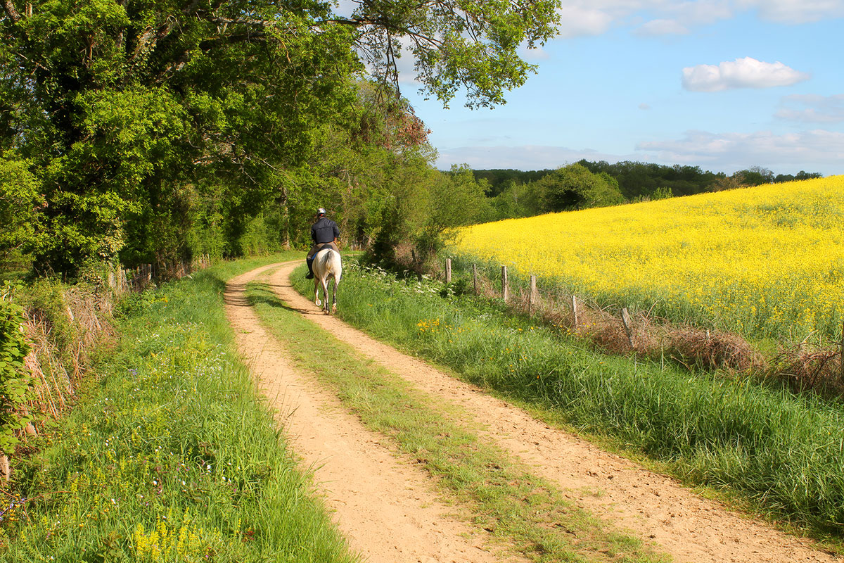Circuit pédestre n°4 le bois de Derrière