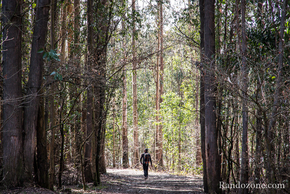 3 jours sur le sentier de Compostelle en Espagne / Photo 9559
