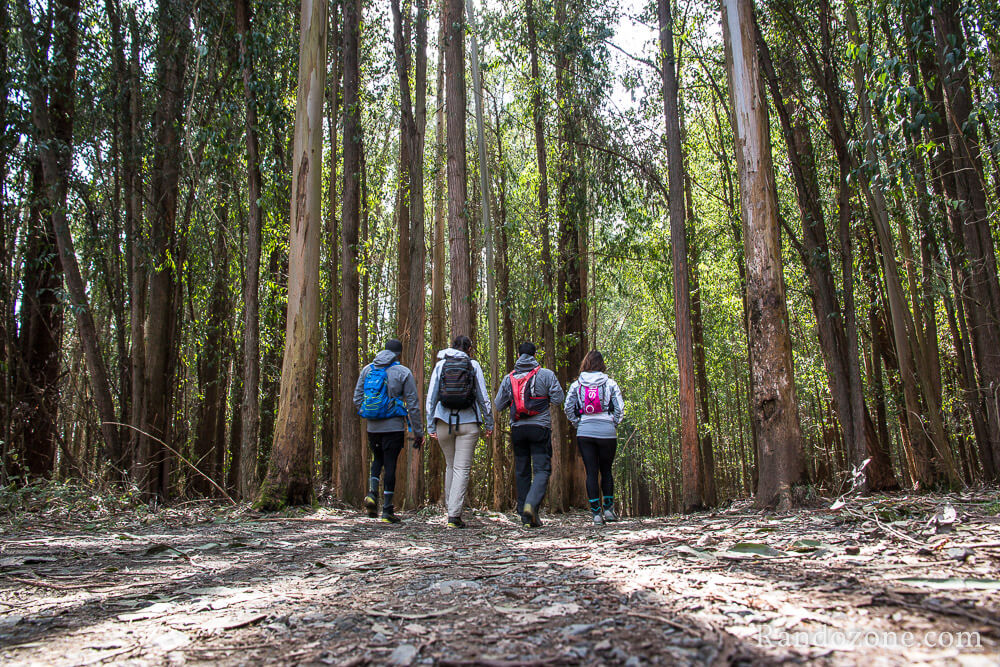 3 jours sur le sentier de Compostelle en Espagne / Photo 9645
