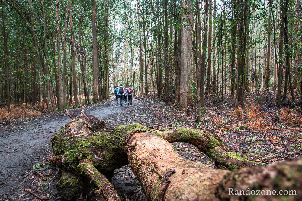 3 jours sur le sentier de Compostelle en Espagne / Photo 9732