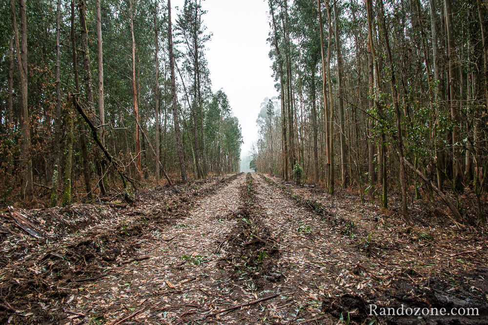 3 jours sur le sentier de Compostelle en Espagne / Photo 9733