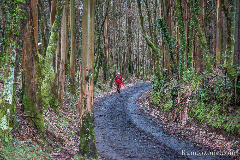 3 jours sur le sentier de Compostelle en Espagne / Photo 9792