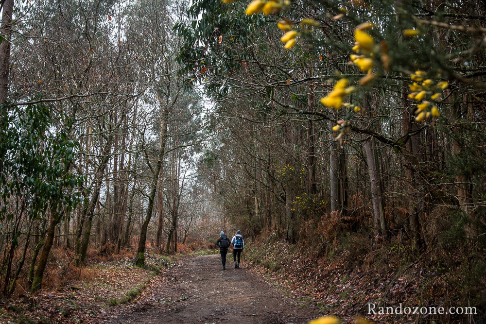 3 jours sur le sentier de Compostelle en Espagne / Photo 9853