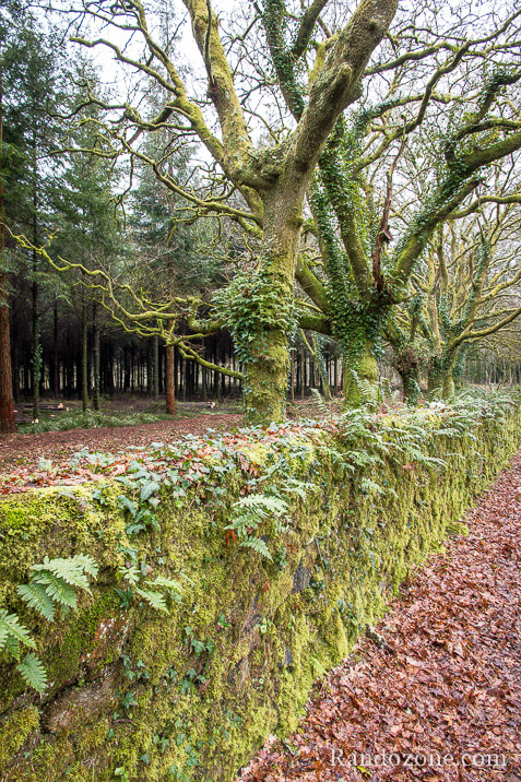 3 jours sur le sentier de Compostelle en Espagne / Photo