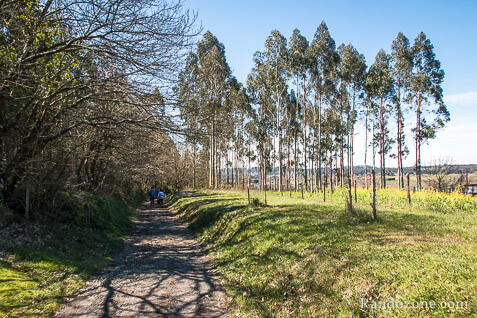 3 jours sur le sentier de Compostelle en Espagne / Photo
