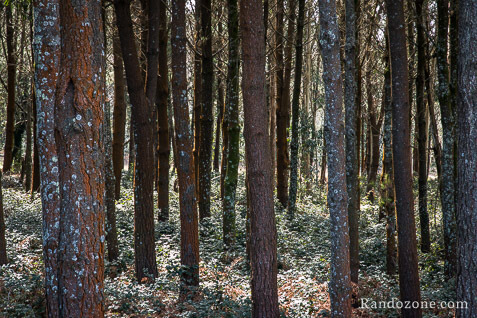 3 jours sur le sentier de Compostelle en Espagne / Photo