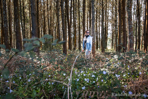 3 jours sur le sentier de Compostelle en Espagne / Photo