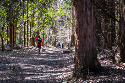 3 jours sur le sentier de Compostelle en Espagne / Photo