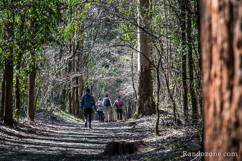 3 jours sur le sentier de Compostelle en Espagne / Photo