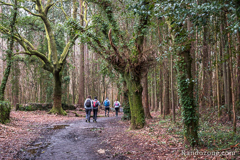3 jours sur le sentier de Compostelle en Espagne / Photo