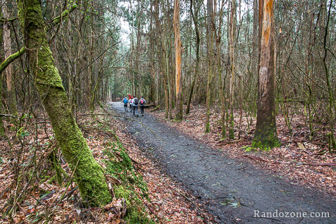 3 jours sur le sentier de Compostelle en Espagne / Photo