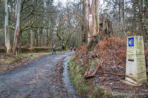 3 jours sur le sentier de Compostelle en Espagne / Photo