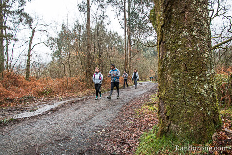 3 jours sur le sentier de Compostelle en Espagne / Photo