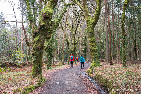 3 jours sur le sentier de Compostelle en Espagne / Photo