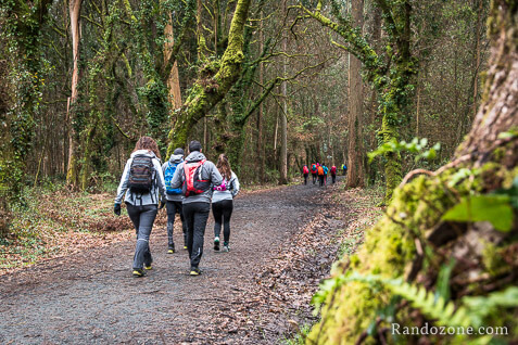 3 jours sur le sentier de Compostelle en Espagne / Photo